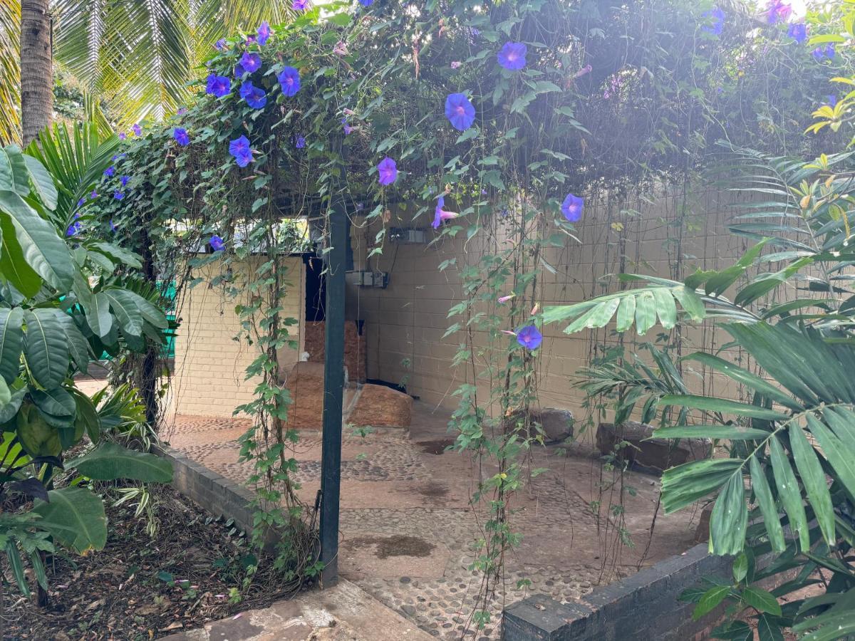 Chikoo Farm Inn Bangalore Bagian luar foto